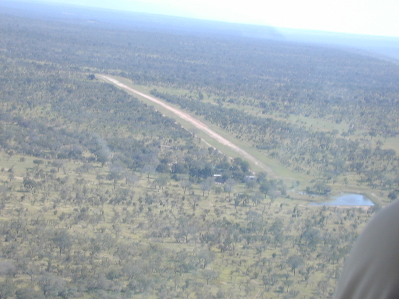 Djuma's airstrip. To prevent hyena from chewing the tires off of planes left unattended, they must cover them with cut-off steel drums.