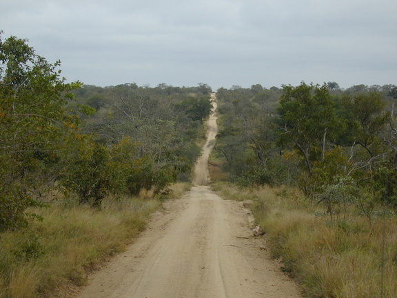 This is what constitutes a major road inside Djuma. Meaning we can get into third gear.