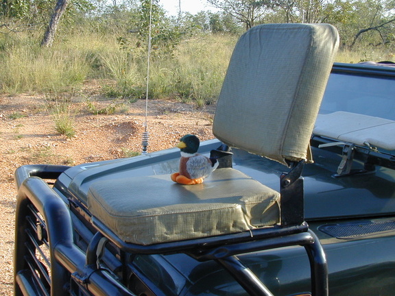 NOT Duck tries his hand at being a spotter.