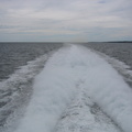 The churning wake of a twin-hull turbine catamaran
