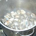 cooked_clams_2.jpg