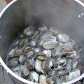 cooked_clams_3.jpg
