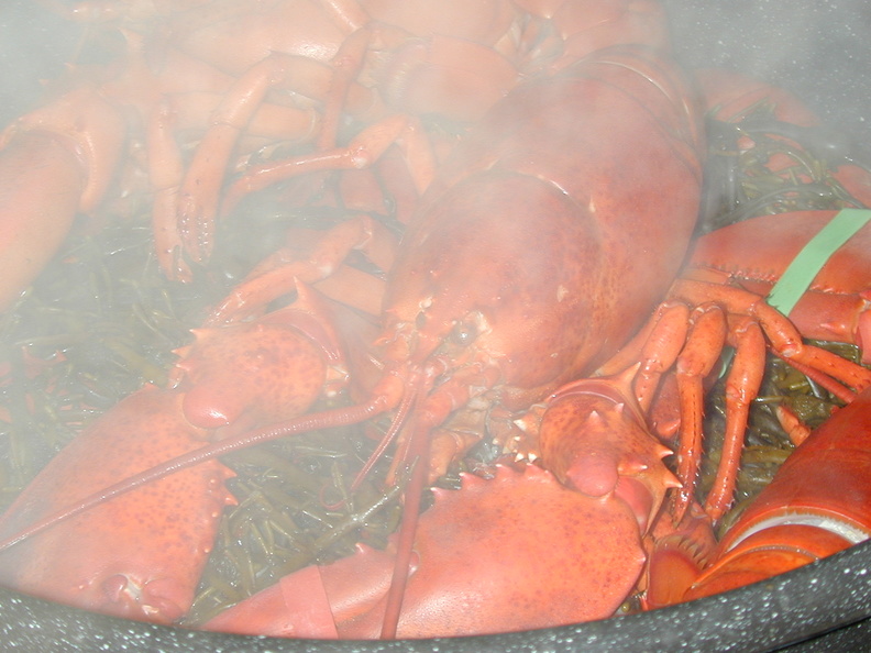 cooked_lobster.jpg