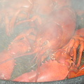 cooked_lobster.jpg