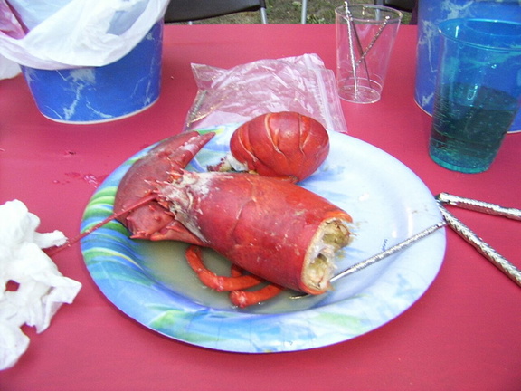 half_eaten_lobster.jpg