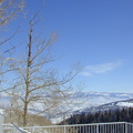 View from the Midmountain Lodge
