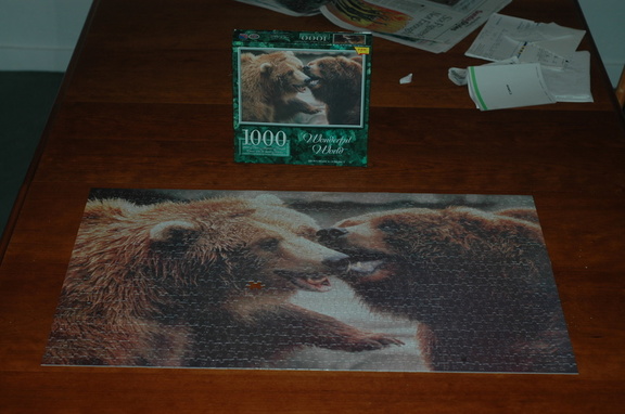 We did finally finish this puzzle (except for the missing piece), but it was a real bear.