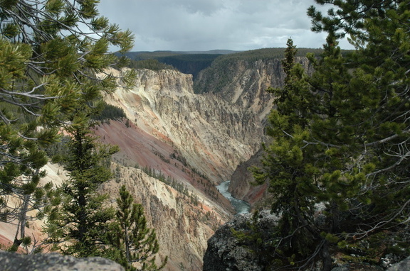 the Yellowstone river cuts through the gorge