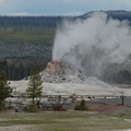 White Dome geyser erupts frequently