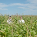 Bob & Kat in the corn