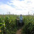 Advanced corn maze was pretty challenging - it took us, what, 45 minutes or so?