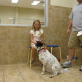 Leah and  Trixie at obedience class