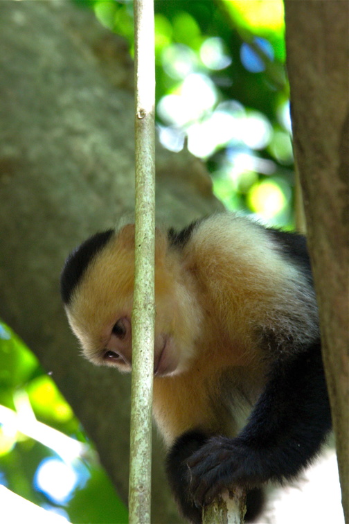 hands just like ours