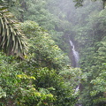 jungle waterfall