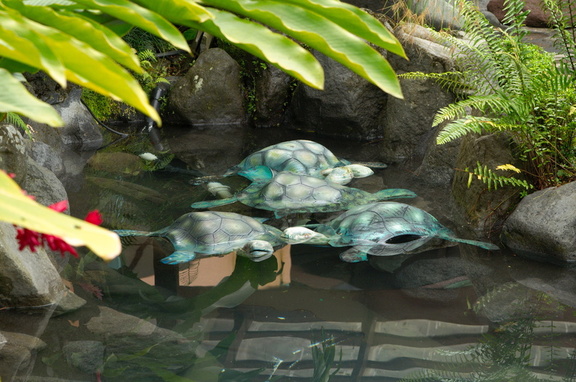mock turtles at the hotel