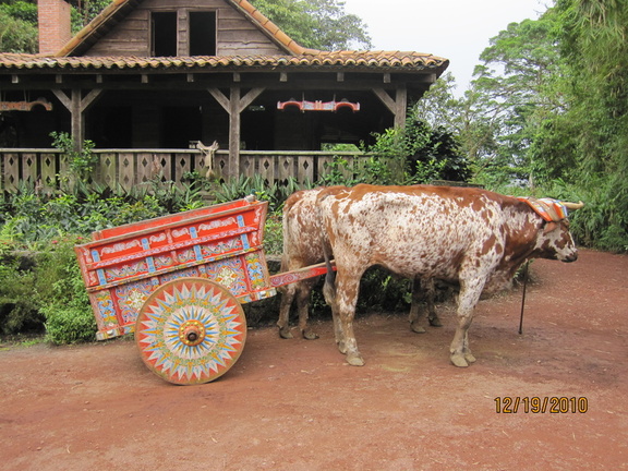 a painted ox-carts. it's become a thing for tourists to pose in them