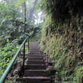 stairs up frm the falls