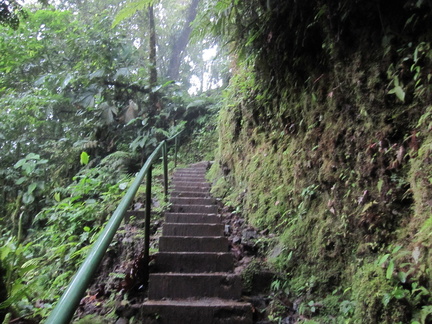 stairs up frm the falls