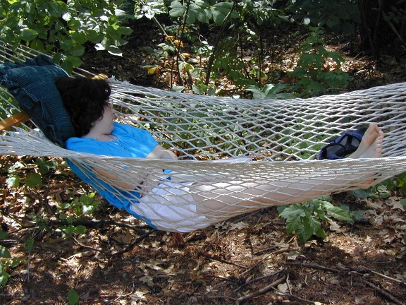 lis hammock 3