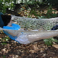 lis hammock 3