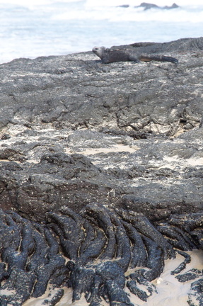 the rocks look like lava flow