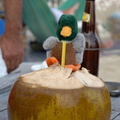 NOT Duck enjoys a Coco Loco