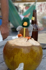 NOT Duck enjoys a Coco Loco