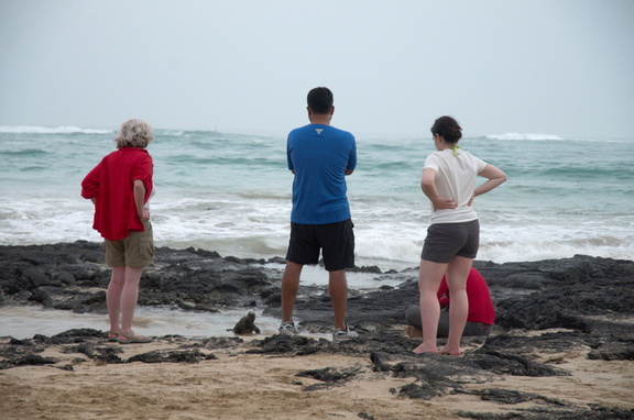 Lis, marine iguana, Vivek, and Leslie