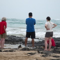 Lis, marine iguana, Vivek, and Leslie