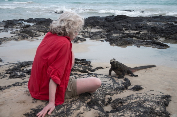 Lis communes with an iguana