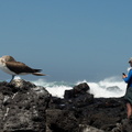 BLue-footed booby and David