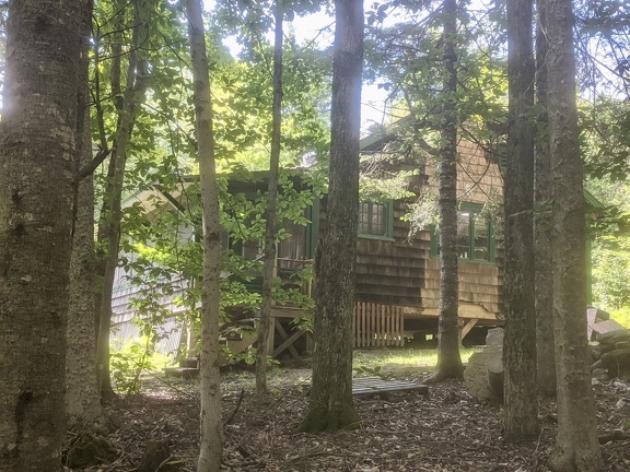 Cold Spring cabin from the trees