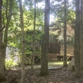 Cold Spring cabin from the trees